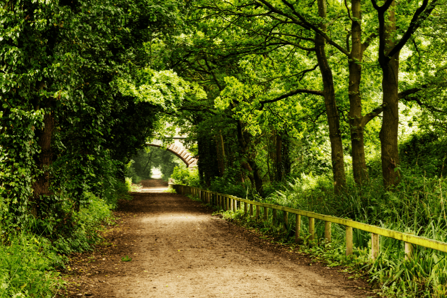 Wirral Country Park