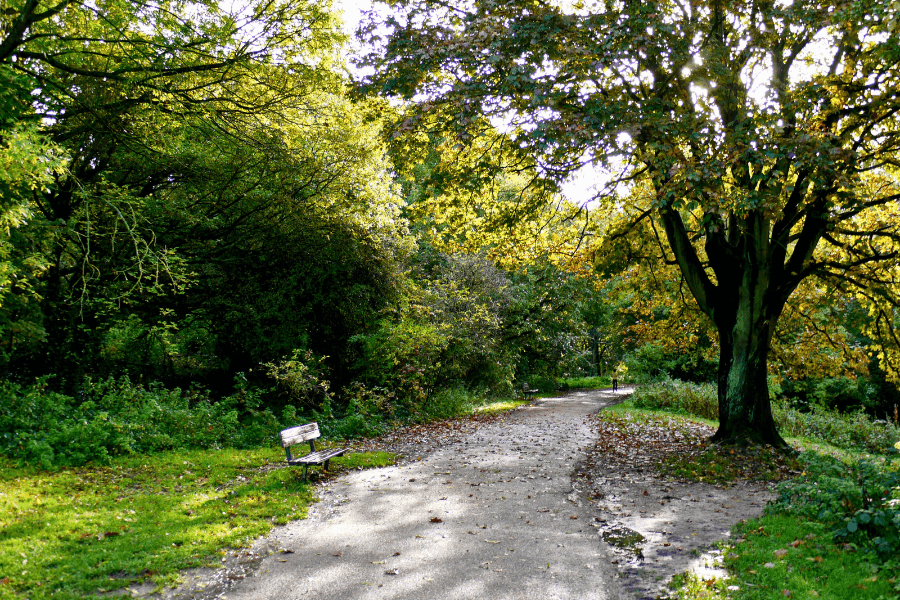 Hampstead Heath