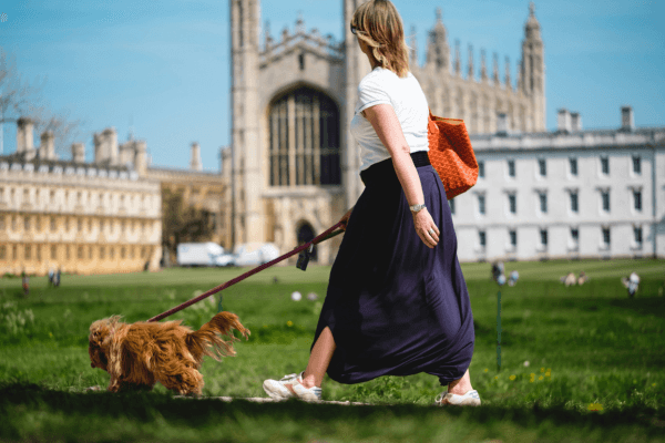 Woman walking a dog in the summer.