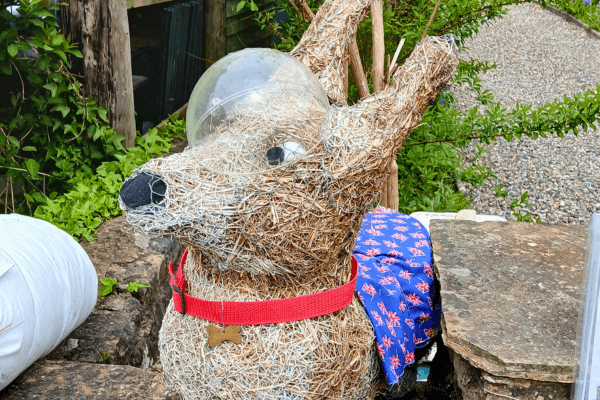 Family Fun at Wray Scarecrow Festival