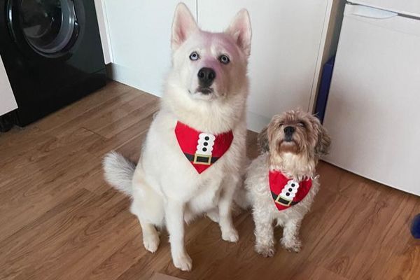 Kyrus and Bella