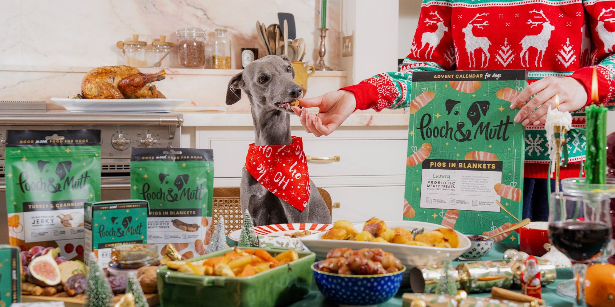 Best Dog Advent Calendars