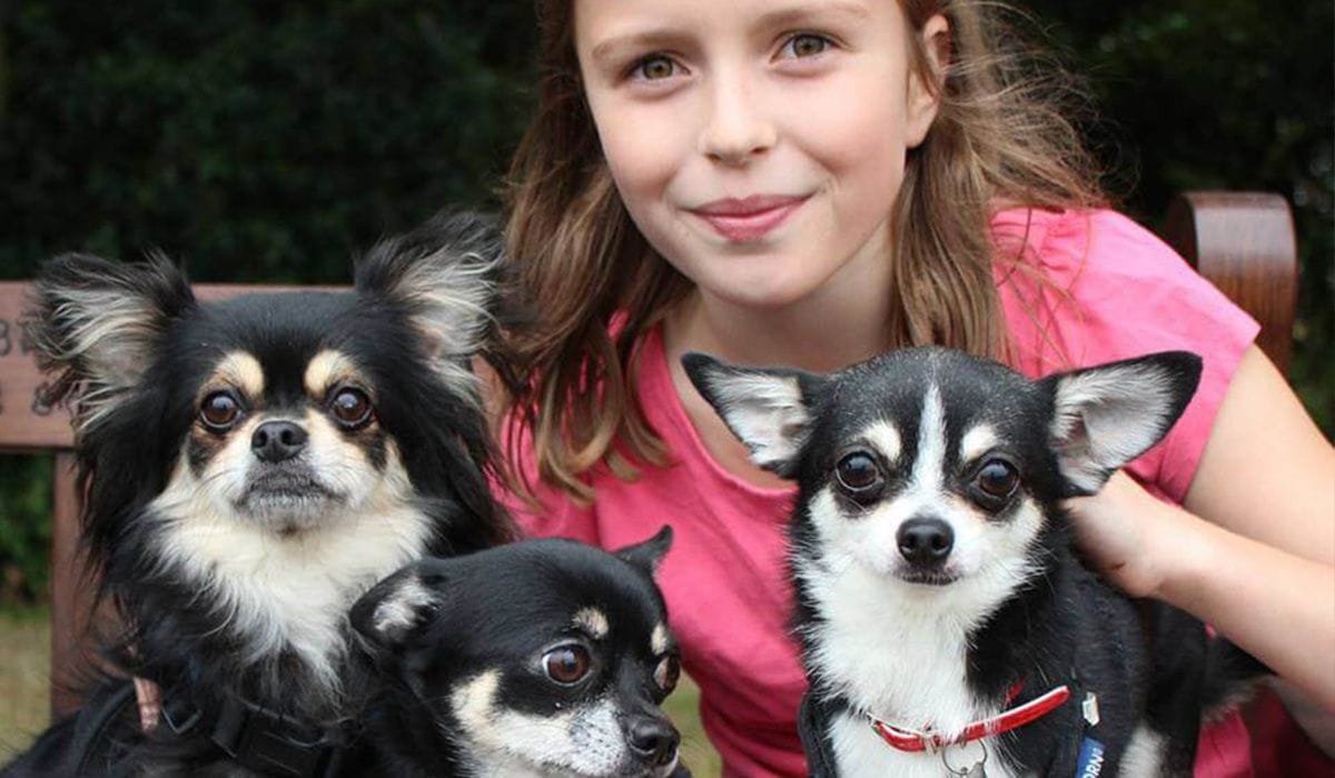 Beau Murphy and Moushska and Borrower Rosie
