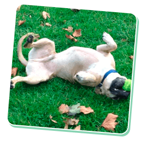 Text to speech not available for this image