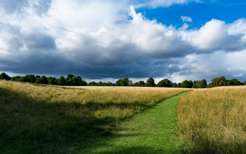 Phoenix Park in Dublin, by Michalis Mantelos
