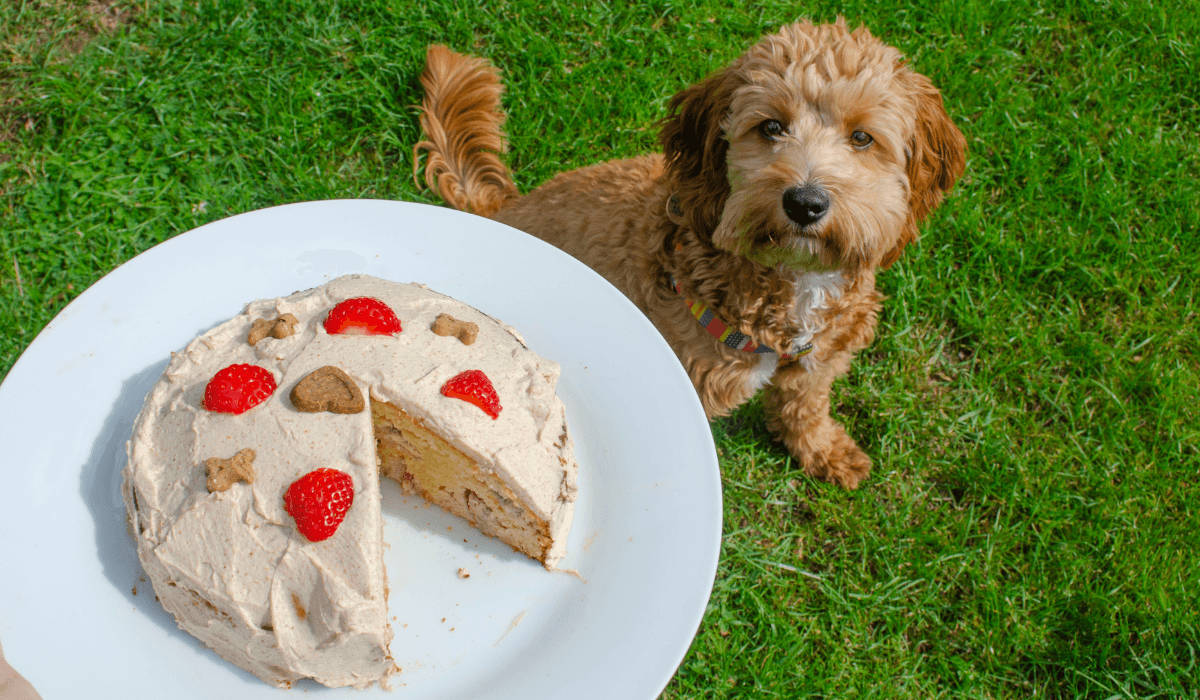Berry Almond Cake Recipaw