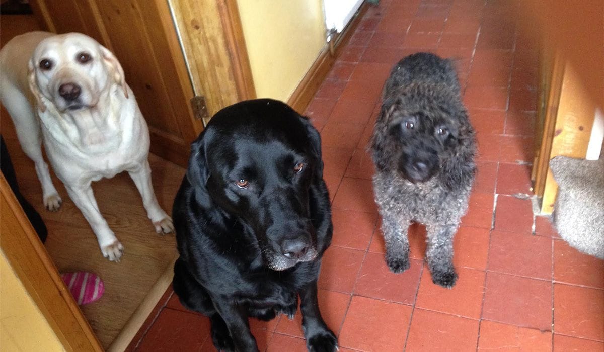Max, Phoebe, Molly and Bethan