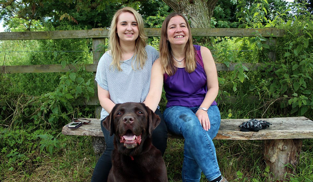 Bertie, the Chocolate labrador - a large, dark brown dog.