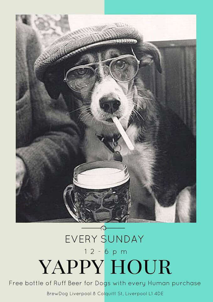 Sunday Yappy Hour