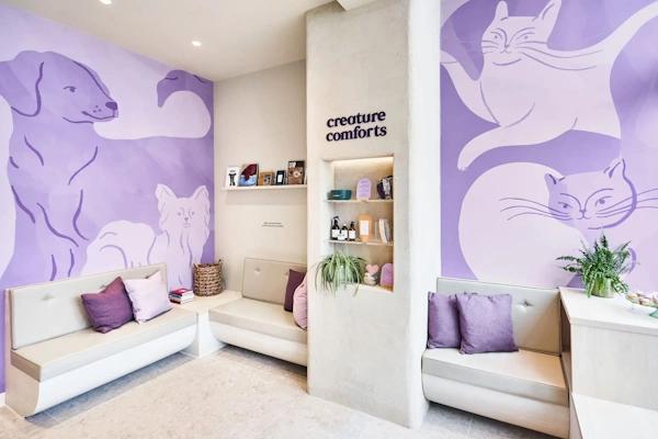 Creature Comforts Vet Practice Notting Hill