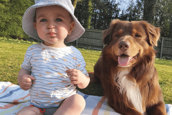 A Pawfect Doggy Picnic