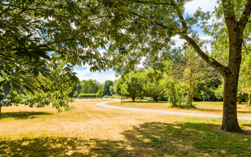 Bute Park, Cardiff