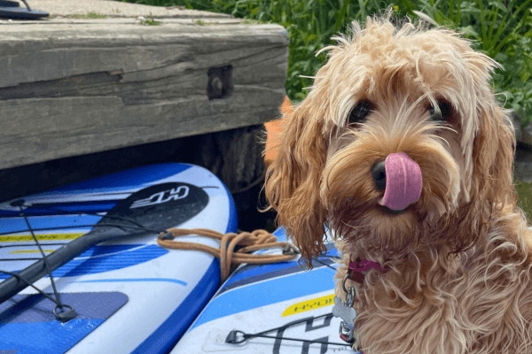 Preparing for Paddle Boarding