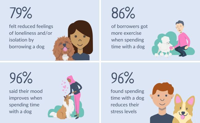 An illustration of doggy stats