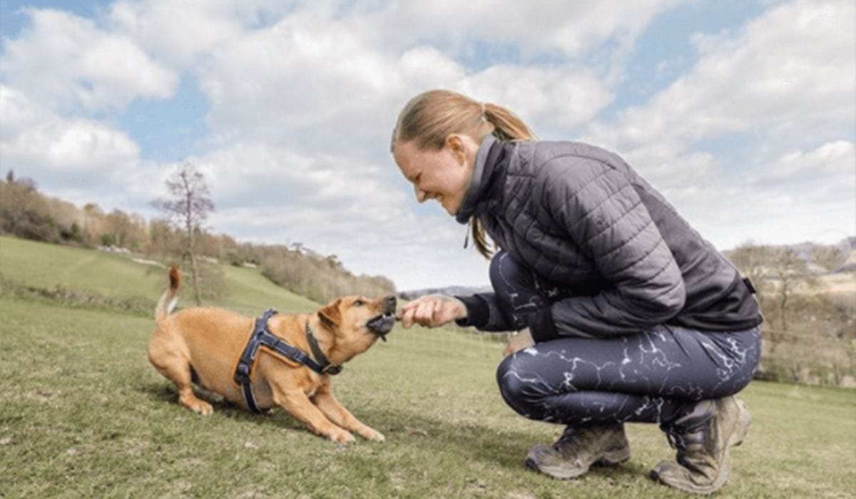 Chris & Suze - BorrowMyDoggy Ambassadors